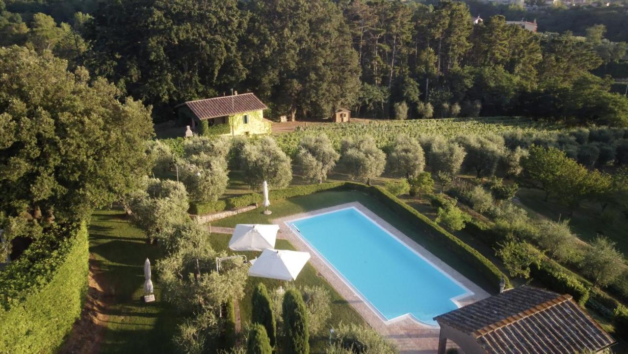 Podere Sant'Antonio Fauglia Exteriör bild