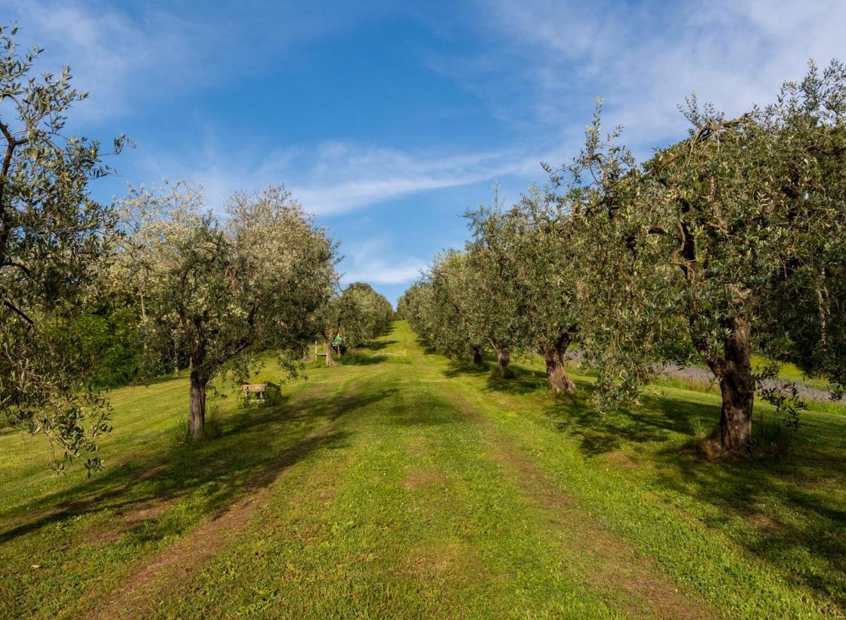 Podere Sant'Antonio Fauglia Exteriör bild