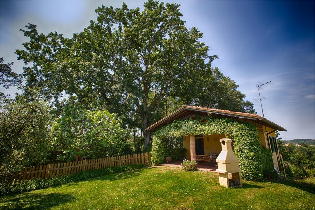 Podere Sant'Antonio Fauglia Exteriör bild