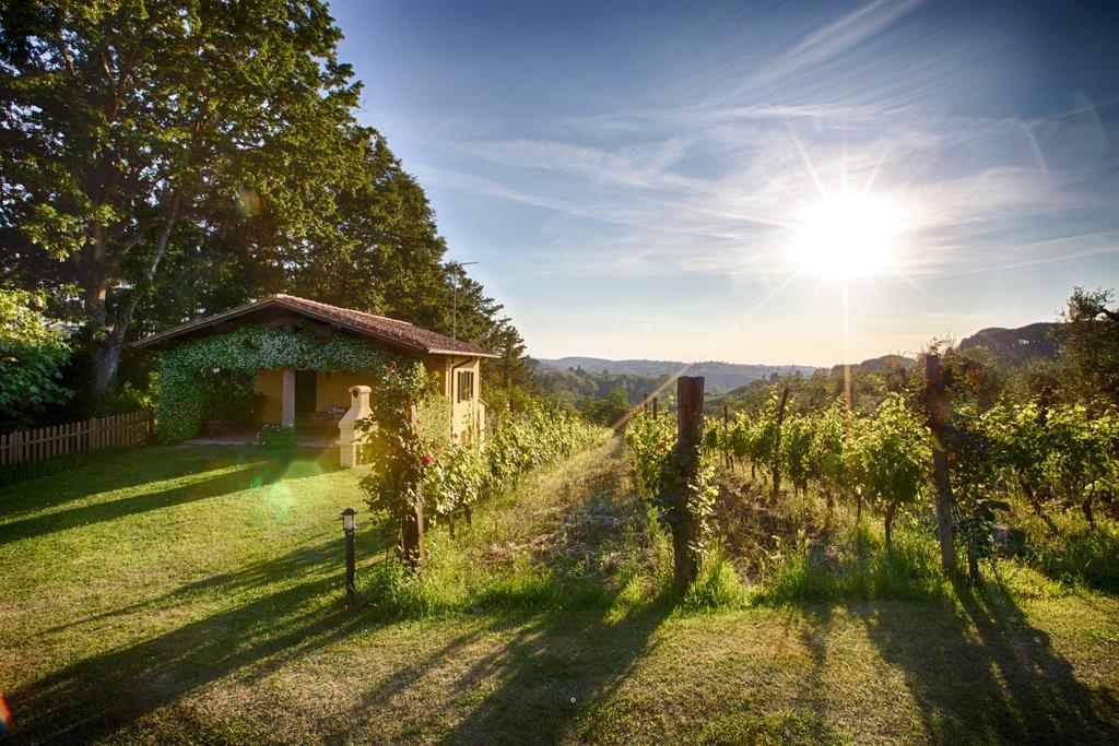 Podere Sant'Antonio Fauglia Exteriör bild