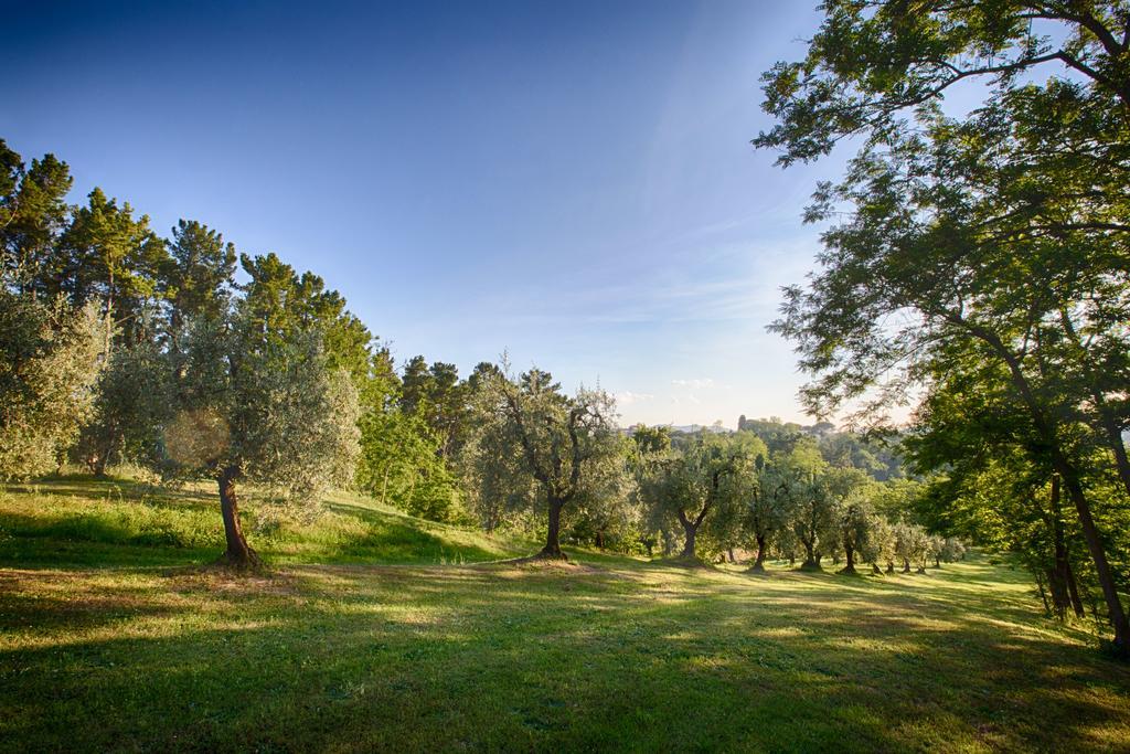 Podere Sant'Antonio Fauglia Exteriör bild